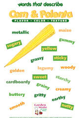 corn vocabulary poster