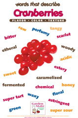 cranberries vocabulary poster