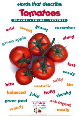 tomato vocabulary poster 2012