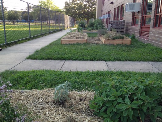 READY FOR SCHOOL: Fresh timbers and fresh straw mulch prepped the JW edible gardens for the school year.