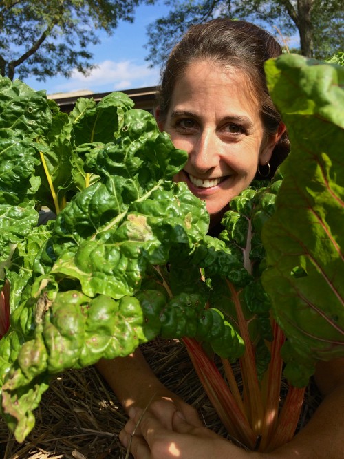 Martha Friend Littlebrook Swiss chard