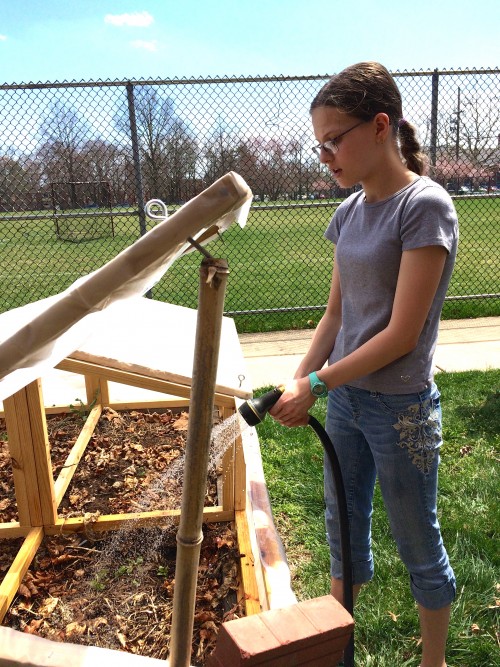 Eighth-grader Jane Witke waters seedlings beneath the mini greenhouse at JW Cooks edible gardens.