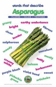asparagus vocabulary poster 2015