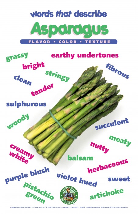 Asparagus_Poster