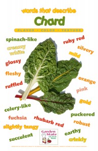 swiss chard vocabulary poster 2015