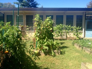 The courtyard gardens at Littlebrook Elementary School