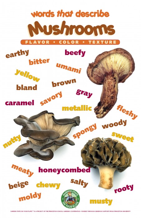 Mushroom_Poster