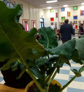 Broccoli leaves from Chickadee Creek Farm and Farmer Jess Niederer were stars alongside NJDA Secretary Doug Fisher at our Garden State on Your Plate event at Community Park Elementary School in early October.