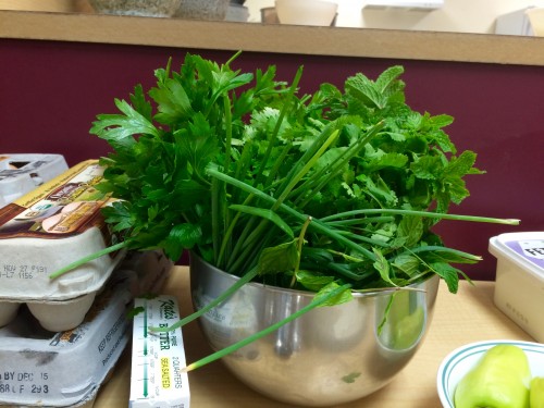 Fresh-picked mint, chives, cilantro and parsley