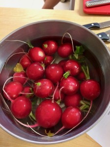 Radishes in a bowl from PMS gardens