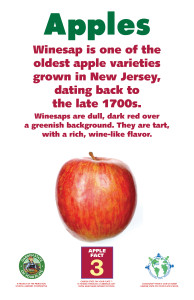 Apples_Facts_Signs3