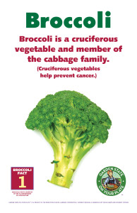 Broccoli_Facts_Signs