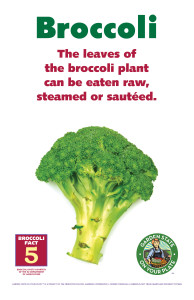 Broccoli_Facts_Signs5