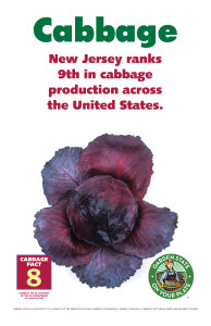 Cabbage_Facts_Signs8