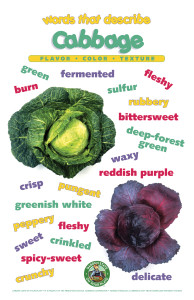 Cabbage_Poster