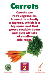 Carrot_Facts_Signs2