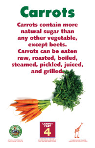 Carrot_Facts_Signs4