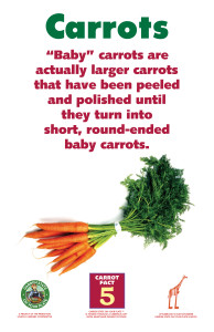 Carrot_Facts_Signs5