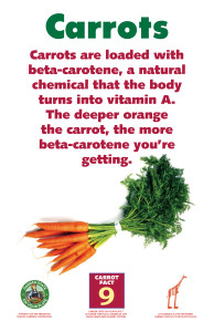 Carrot_Facts_Signs9