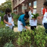 Students harvesting for PPSCG