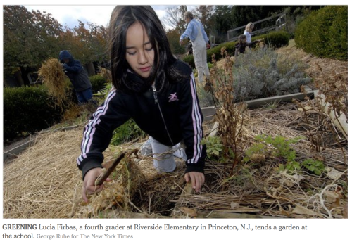 pic with NYT piece on Riverside Gardens