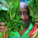 Swiss chard collection