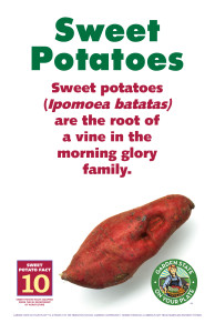 Sweet_Potato_Facts_Signs10