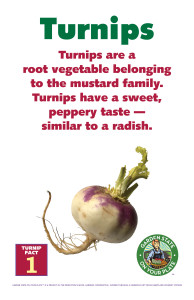 Turnip_Facts_Signs