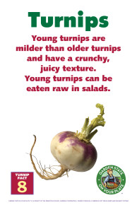 Turnip_Facts_Signs8
