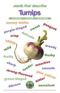 Turnips_Poster