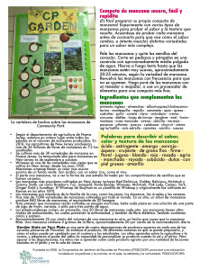 gsoyp-apple-handout-spanish_Page_2