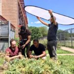 PSGC men in garden with chickpea plants