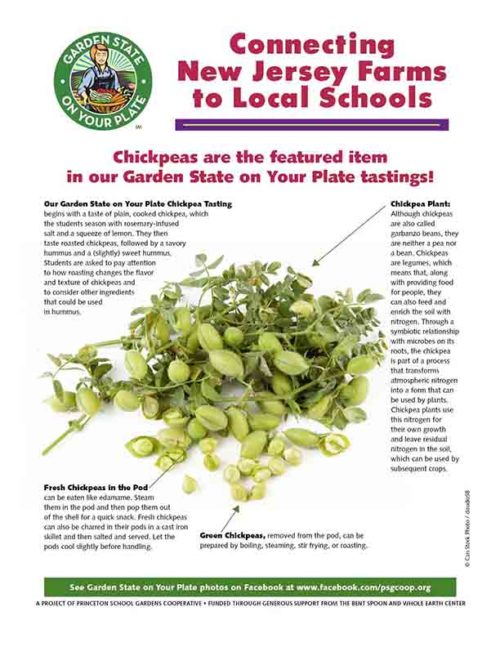 chickpeas newsletter