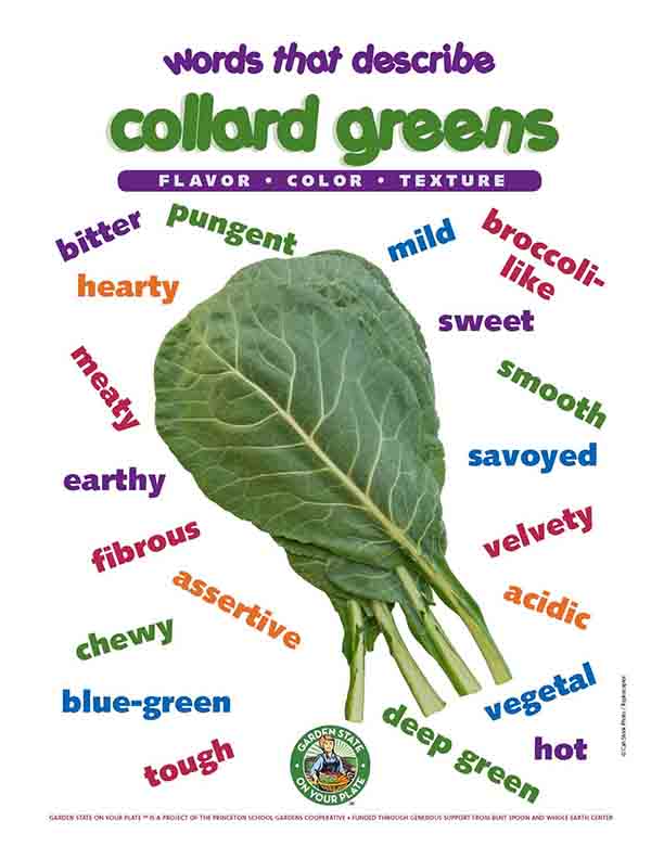 collard greens vocab words