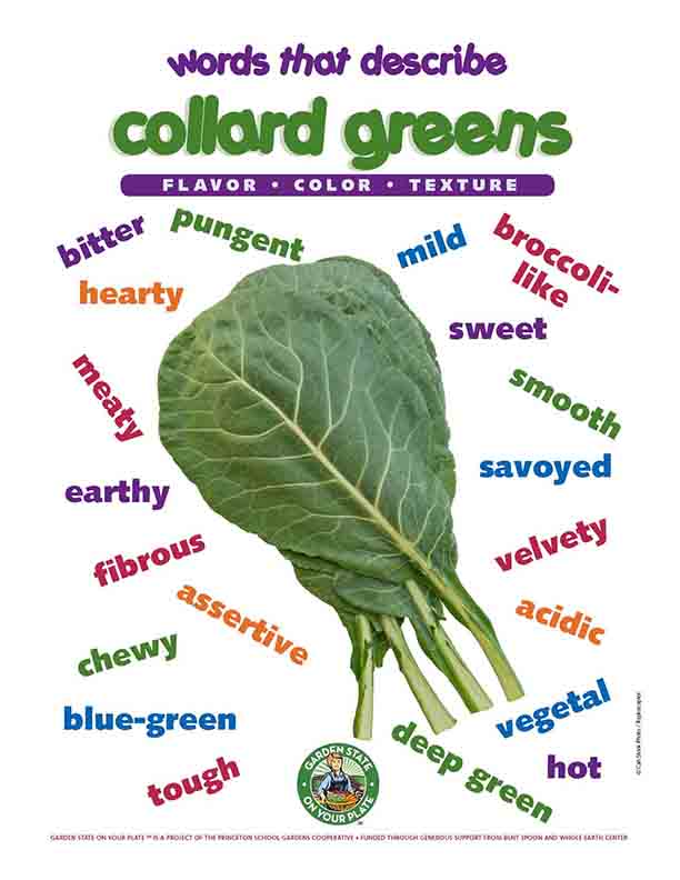 Collard Greens