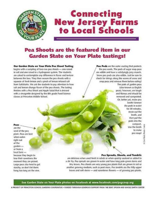 pea shoots newsletter