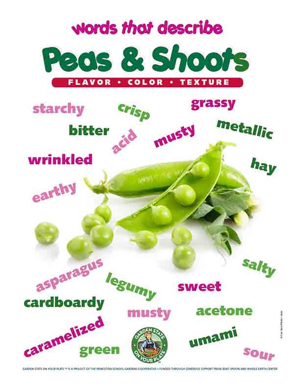 peas and shoots vocab words