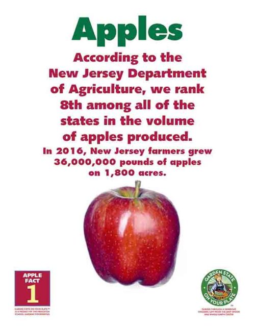 NJ ranks 8th among all of th estates in the volume of apples produced