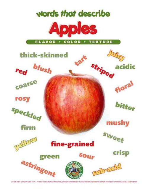 apples vocabulary words