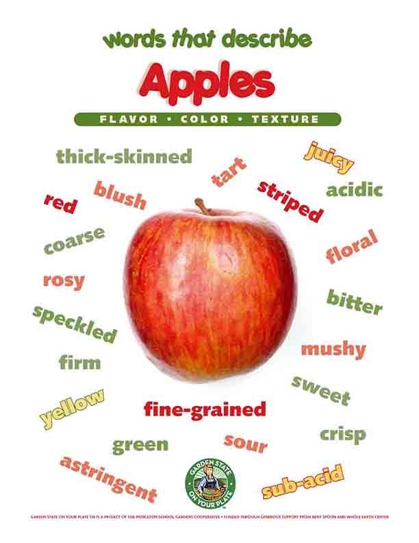 apples vocabulary words