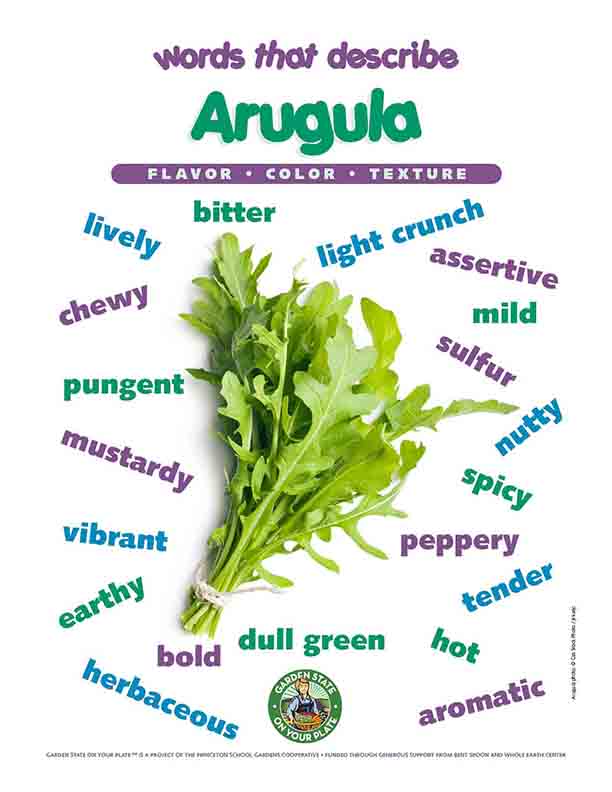 arugula vocabulary words