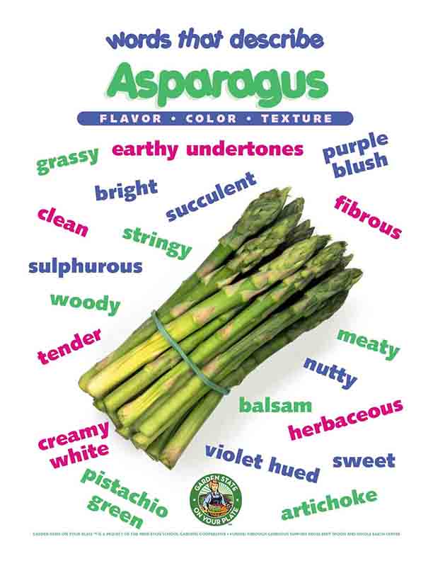 asparagus vocabulary words