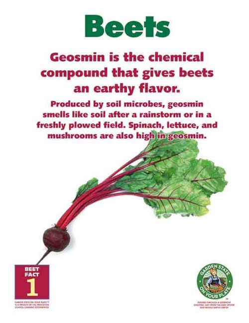 geosmin is the chemical compound that gives beets an earthy flavor