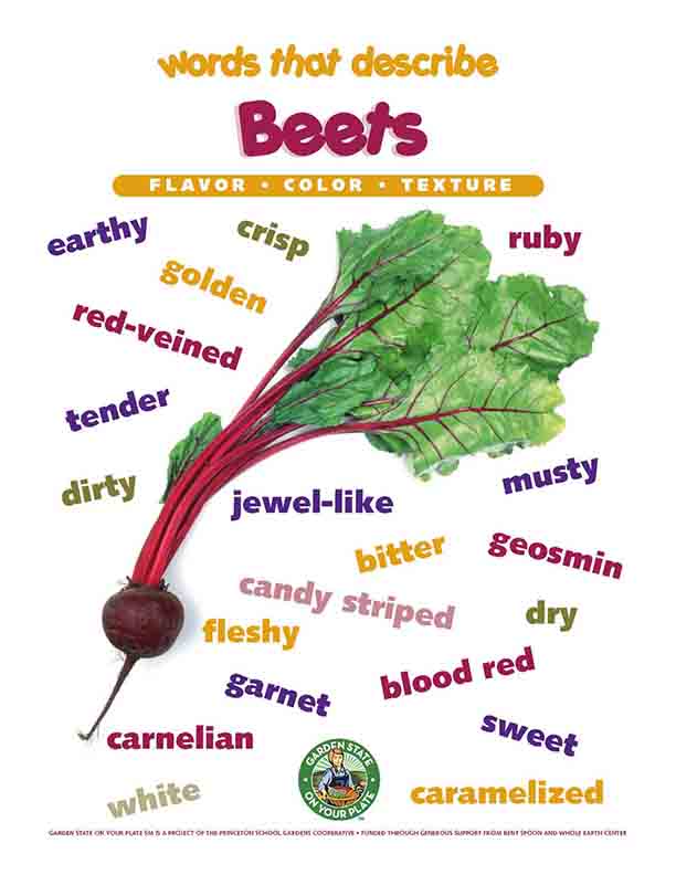 beets vocabulary words