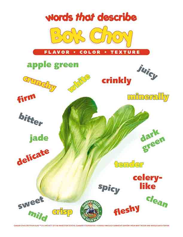 bok choy vocabulary words