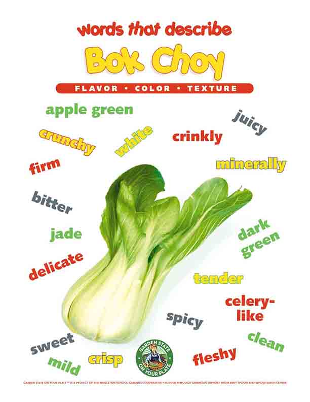 Bok choy