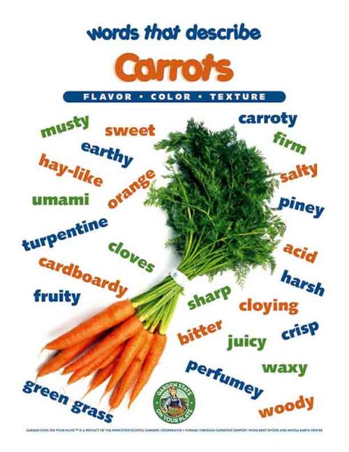 carrots vocabulary words