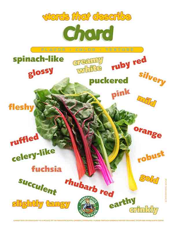 chard vocabulary words