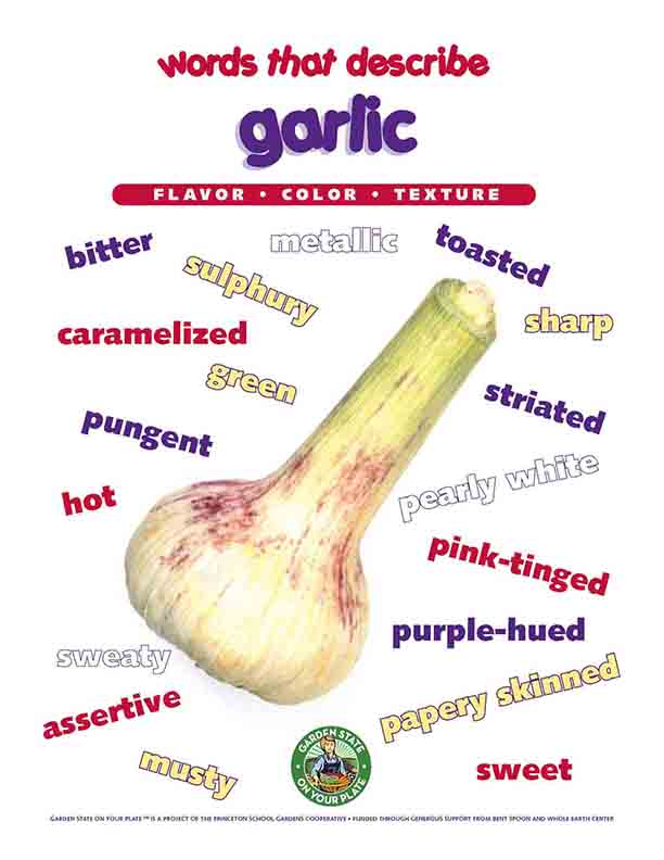 garlic vocabulary words