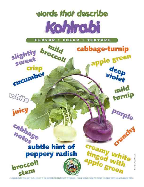 kohlrabi vocabulary words